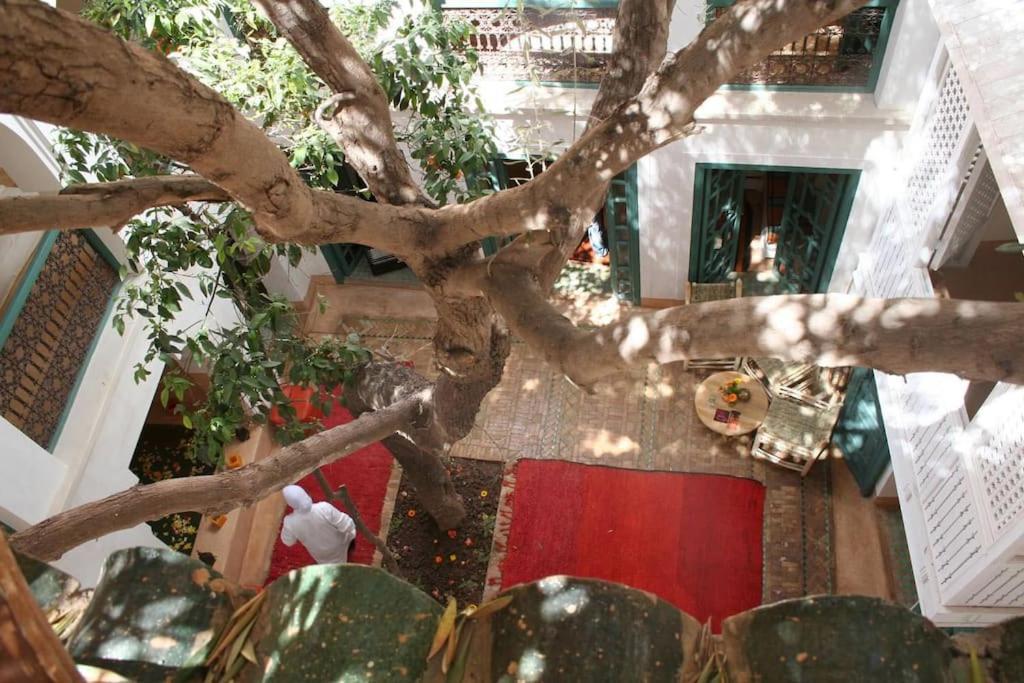 Riad Dar Zitouna Marrakesh - Entire House In Exclusivity Exterior foto